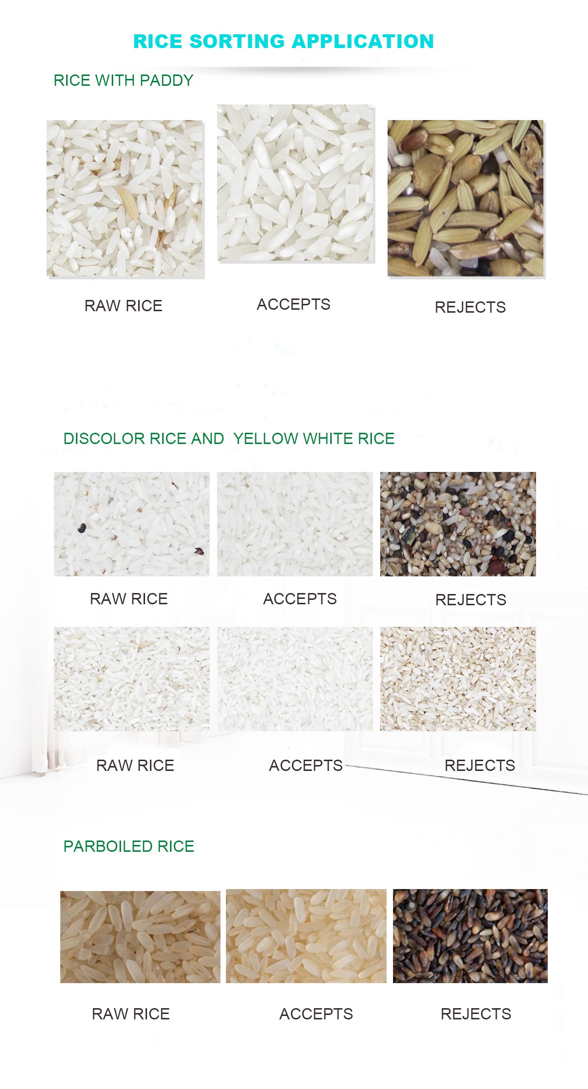 Rice color sorter(图1)