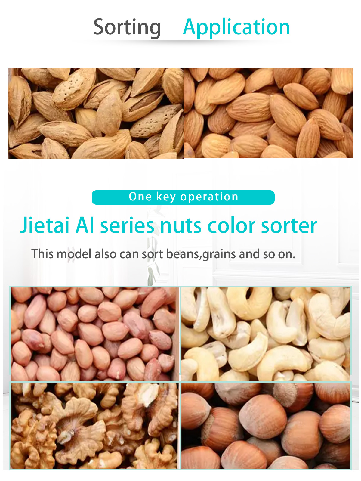 Nuts color sorter(图2)