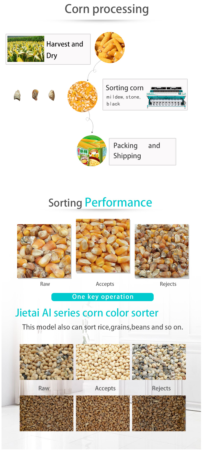 Corn color sorter(图2)
