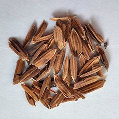 Rice sorting case(图3)