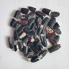 Rice sorting case(图6)