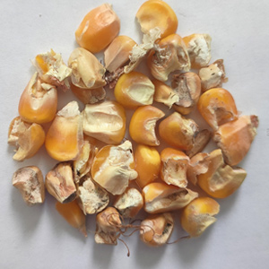 Corn sorting case(图3) Corn sorting case(图3)