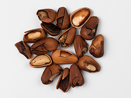 Pine nut sorting case(图3)