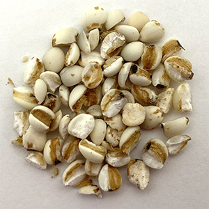Coix seed sorting case(图3)
