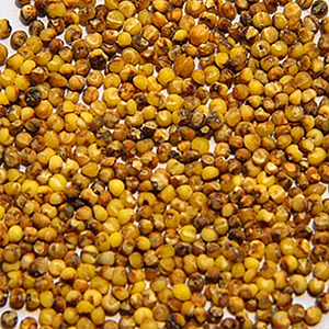 Little yellow millet color selection case(图1)