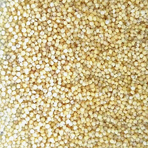 Little yellow millet color selection case(图2)