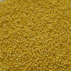 Little yellow millet color selection case(图3)