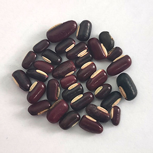 Red bean color sorting case(图1)