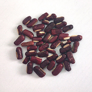 Red bean color sorting case(图4)