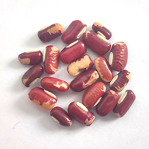 Red bean color sorting case(图6)